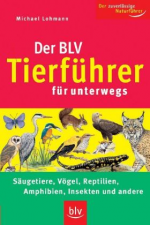 Cover_4ee2e5750afd3933